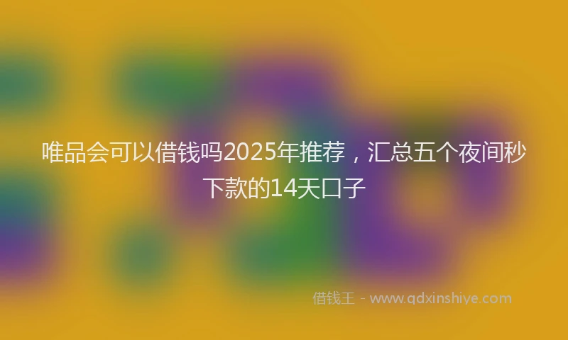 唯品会可以借钱吗2025年推荐，汇总五个夜间秒下款的14天口子
