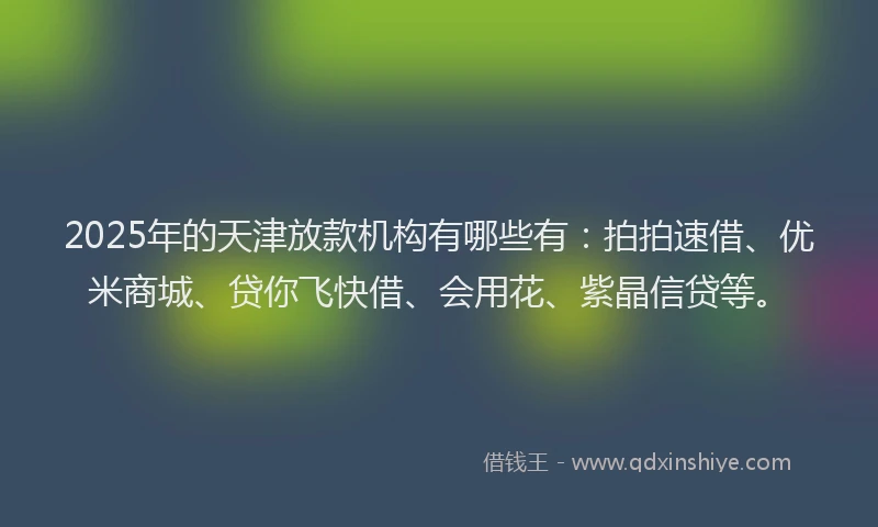 2025年的天津放款机构有哪些有：拍拍速借、优米商城、贷你飞快借、会用花、紫晶信贷等。