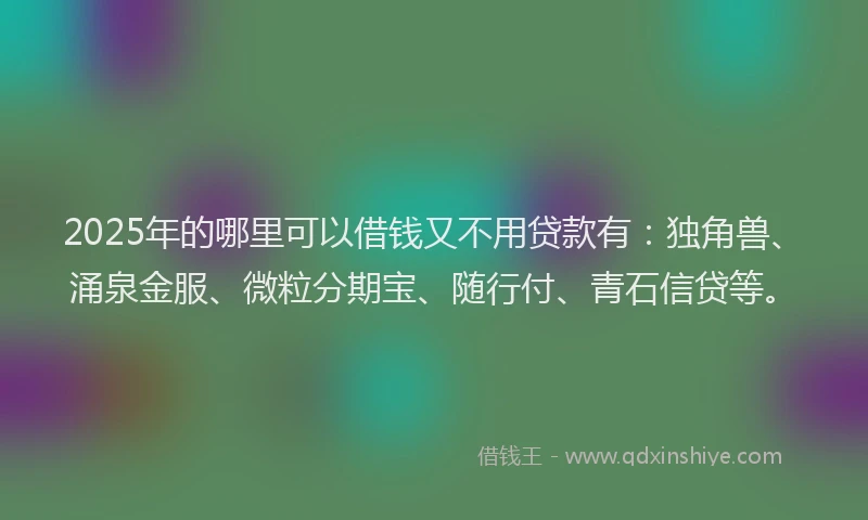 2025年的哪里可以借钱又不用贷款有：独角兽、涌泉金服、微粒分期宝、随行付、青石信贷等。