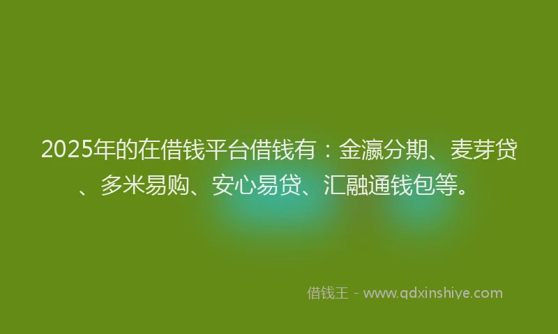 2025年的在借钱平台借钱有：金瀛分期、麦芽贷、多米易购、安心易贷、汇融通钱包等。