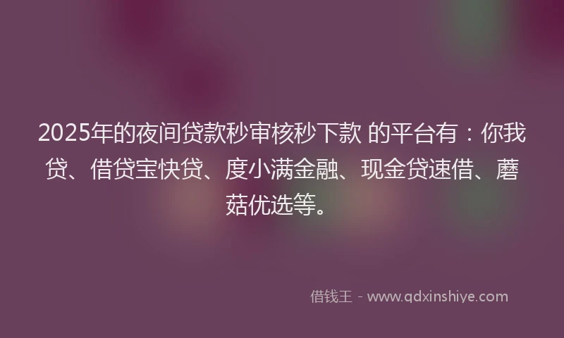 2025年的夜间贷款秒审核秒下款 的平台有：你我贷、借贷宝快贷、度小满金融、现金贷速借、蘑菇优选等。