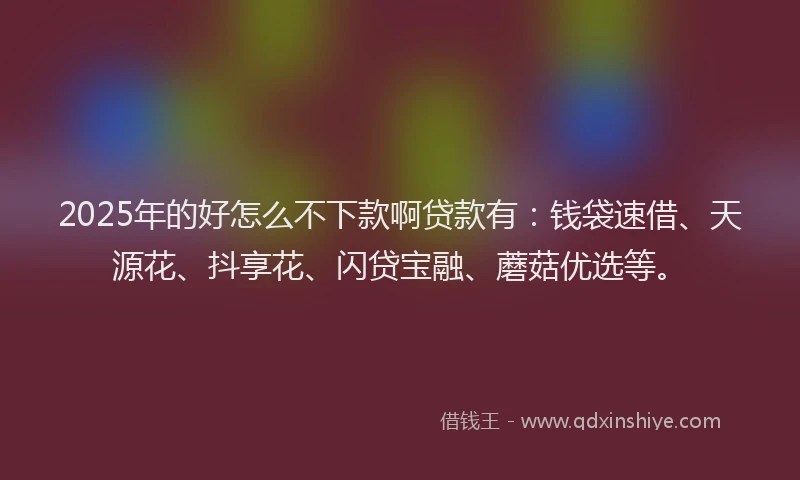 2025年的好怎么不下款啊贷款有：钱袋速借、天源花、抖享花、闪贷宝融、蘑菇优选等。