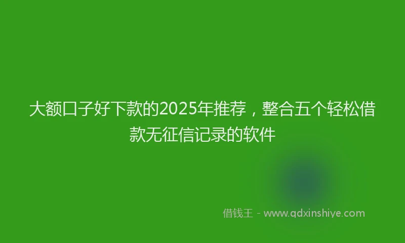 大额口子好下款的2025年推荐，整合五个轻松借款无征信记录的软件
