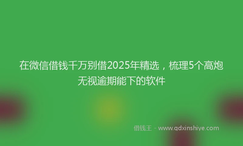 在微信借钱千万别借2025年精选，梳理5个高炮无视逾期能下的软件