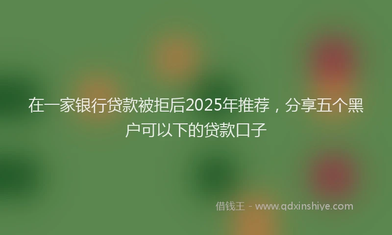 在一家银行贷款被拒后2025年推荐，分享五个黑户可以下的贷款口子
