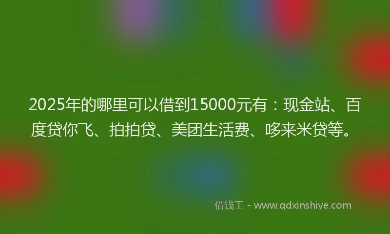 2025年的哪里可以借到15000元有：现金站、百度贷你飞、拍拍贷、美团生活费、哆来米贷等。