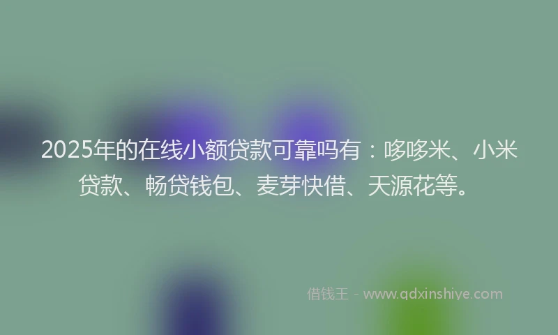 2025年的在线小额贷款可靠吗有：哆哆米、小米贷款、畅贷钱包、麦芽快借、天源花等。