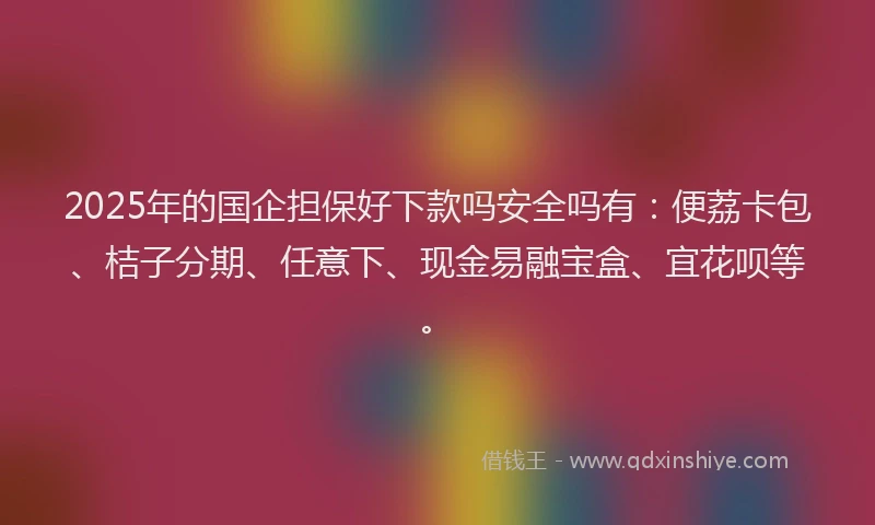 2025年的国企担保好下款吗安全吗有：便荔卡包、桔子分期、任意下、现金易融宝盒、宜花呗等。