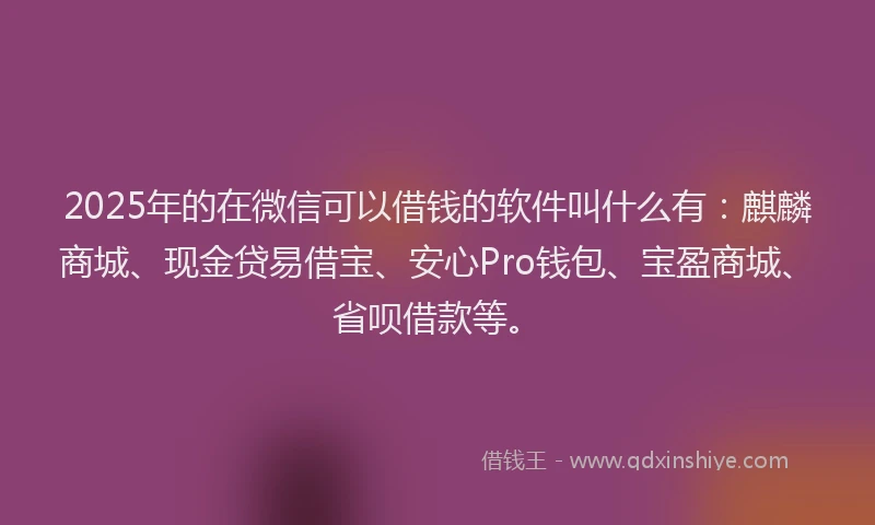 2025年的在微信可以借钱的软件叫什么有：麒麟商城、现金贷易借宝、安心Pro钱包、宝盈商城、省呗借款等。