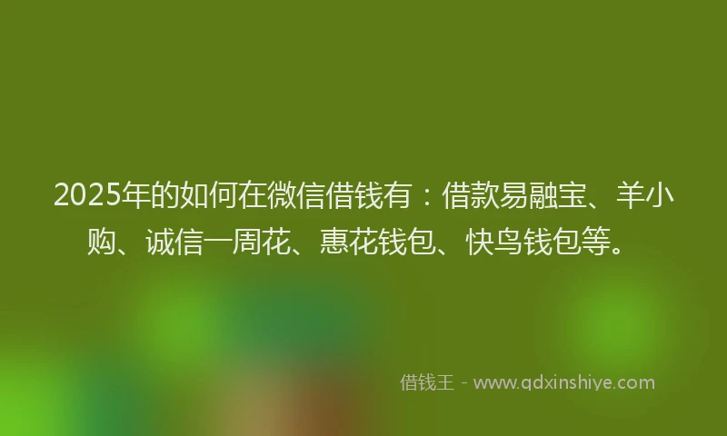 2025年的如何在微信借钱有：借款易融宝、羊小购、诚信一周花、惠花钱包、快鸟钱包等。