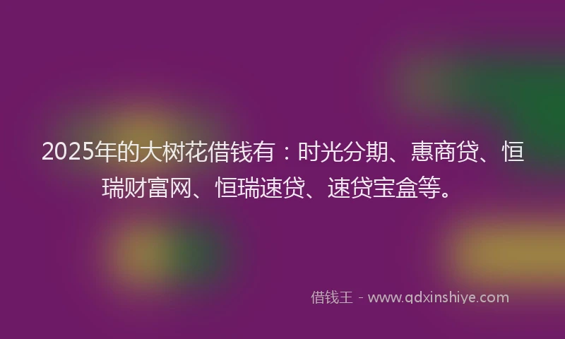 2025年的大树花借钱有：时光分期、惠商贷、恒瑞财富网、恒瑞速贷、速贷宝盒等。