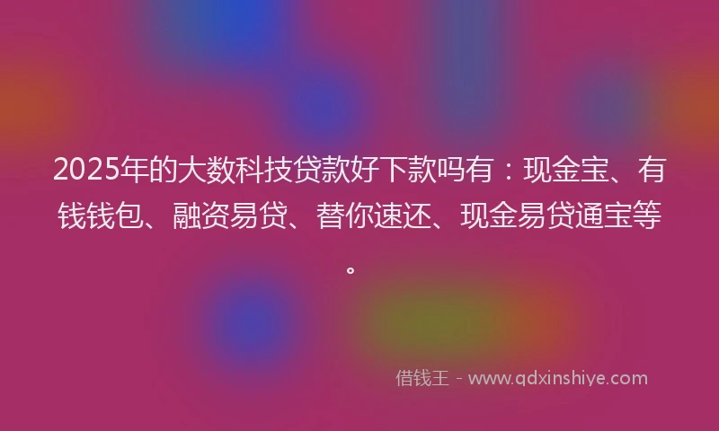 2025年的大数科技贷款好下款吗有：现金宝、有钱钱包、融资易贷、替你速还、现金易贷通宝等。
