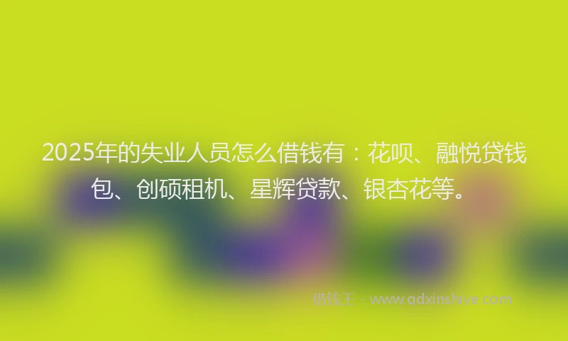 2025年的失业人员怎么借钱有：花呗、融悦贷钱包、创硕租机、星辉贷款、银杏花等。