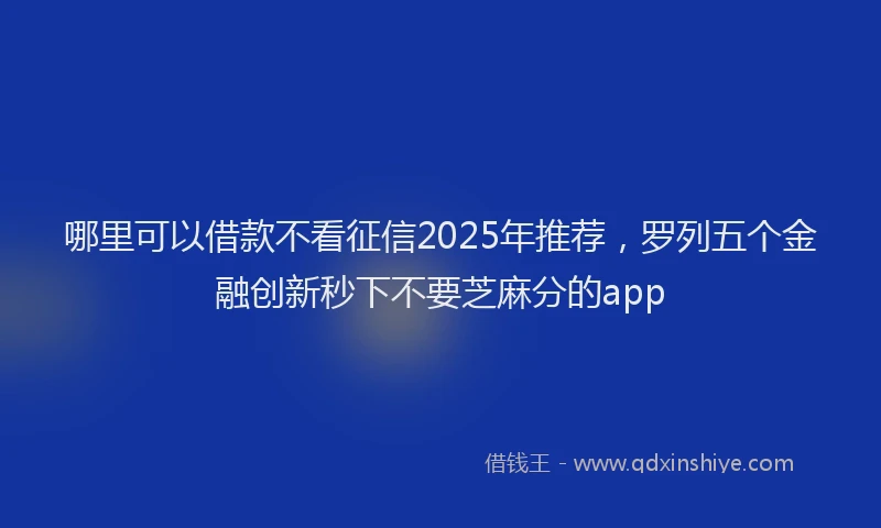 哪里可以借款不看征信2025年推荐，罗列五个金融创新秒下不要芝麻分的app