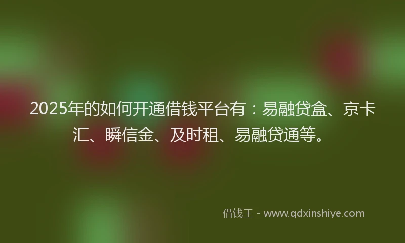 2025年的如何开通借钱平台有：易融贷盒、京卡汇、瞬信金、及时租、易融贷通等。