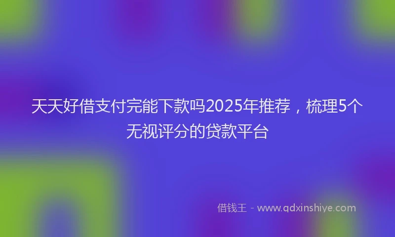 天天好借支付完能下款吗2025年推荐，梳理5个无视评分的贷款平台