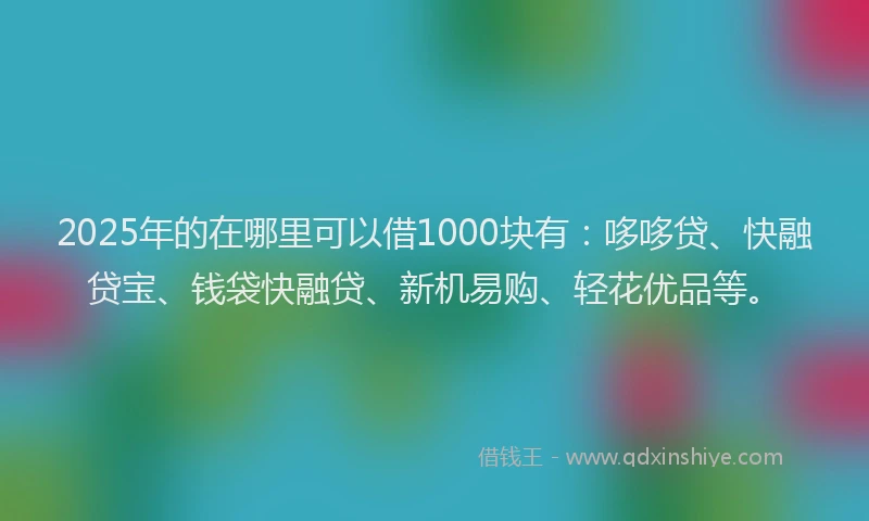 2025年的在哪里可以借1000块有：哆哆贷、快融贷宝、钱袋快融贷、新机易购、轻花优品等。