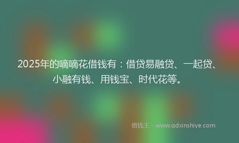 2025年的嘀嘀花借钱有：借贷易融贷、一起贷、小融有钱、用钱宝、时代花等。