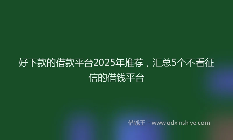 好下款的借款平台2025年推荐，汇总5个不看征信的借钱平台