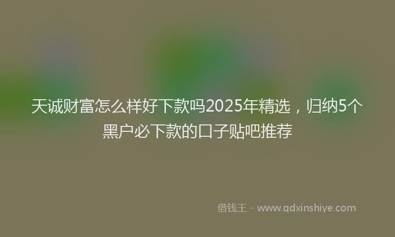 天诚财富怎么样好下款吗2025年精选，归纳5个黑户必下款的口子贴吧推荐