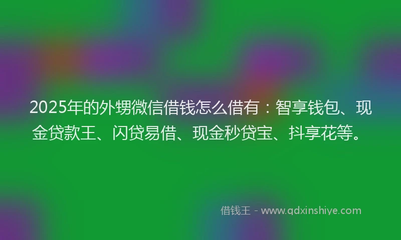 2025年的外甥微信借钱怎么借有：智享钱包、现金贷款王、闪贷易借、现金秒贷宝、抖享花等。