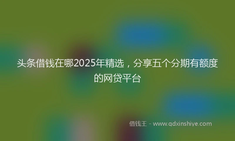 头条借钱在哪2025年精选，分享五个分期有额度的网贷平台