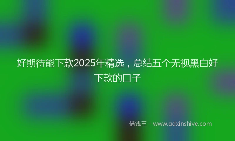 好期待能下款2025年精选，总结五个无视黑白好下款的口子