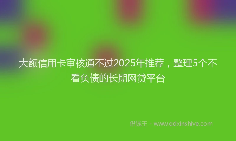 大额信用卡审核通不过2025年推荐，整理5个不看负债的长期网贷平台