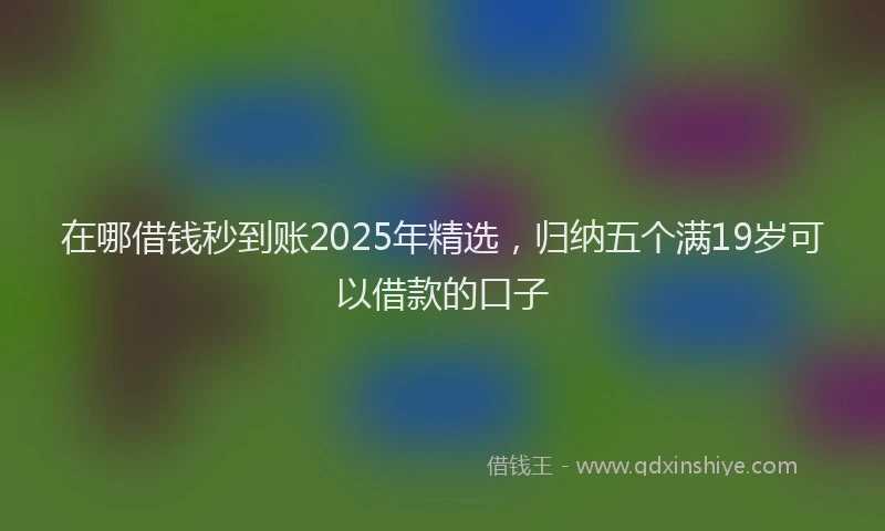 在哪借钱秒到账2025年精选，归纳五个满19岁可以借款的口子