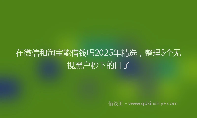 在微信和淘宝能借钱吗2025年精选，整理5个无视黑户秒下的口子