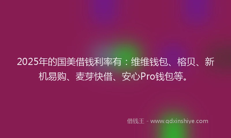 2025年的国美借钱利率有：维维钱包、榕贝、新机易购、麦芽快借、安心Pro钱包等。