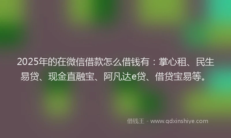 2025年的在微信借款怎么借钱有：掌心租、民生易贷、现金直融宝、阿凡达e贷、借贷宝易等。