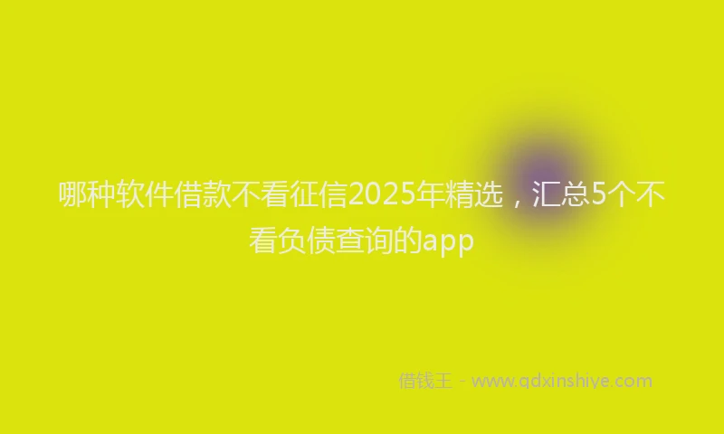 哪种软件借款不看征信2025年精选，汇总5个不看负债查询的app