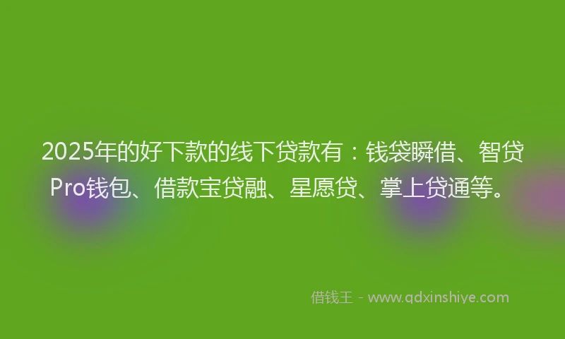 2025年的好下款的线下贷款有：钱袋瞬借、智贷Pro钱包、借款宝贷融、星愿贷、掌上贷通等。