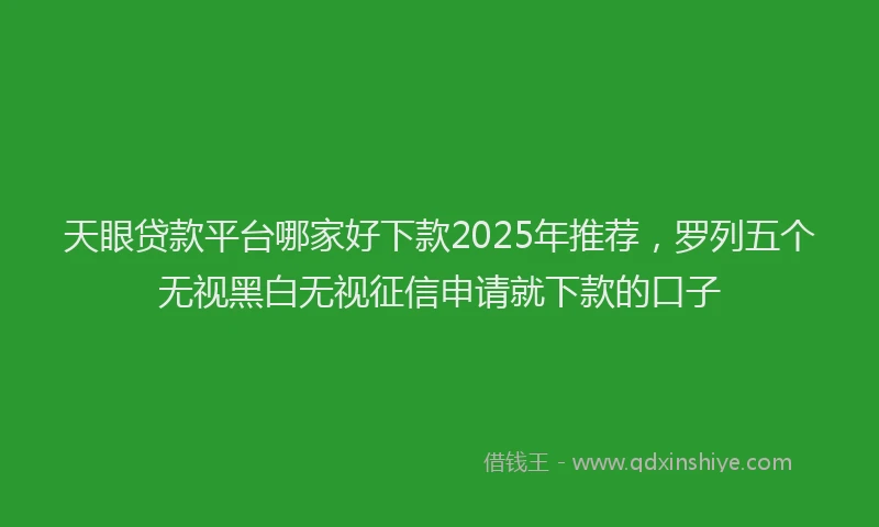 天眼贷款平台哪家好下款2025年推荐，罗列五个无视黑白无视征信申请就下款的口子