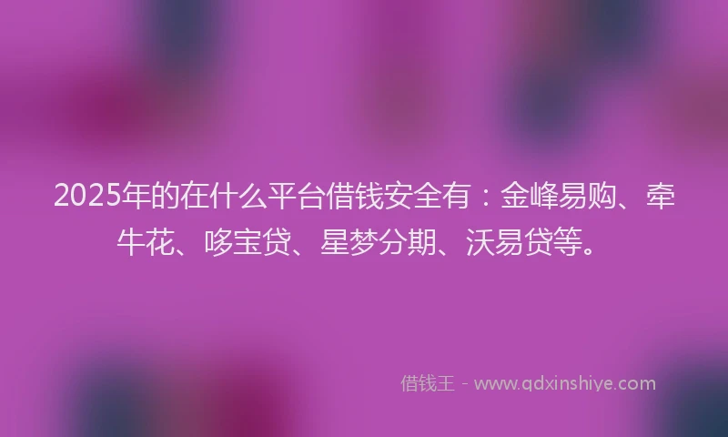 2025年的在什么平台借钱安全有：金峰易购、牵牛花、哆宝贷、星梦分期、沃易贷等。