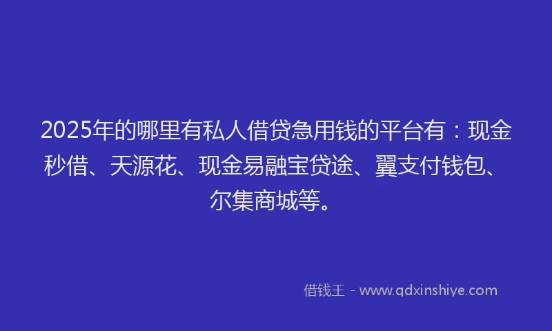 2025年的哪里有私人借贷急用钱的平台有：现金秒借、天源花、现金易融宝贷途、翼支付钱包、尔集商城等。