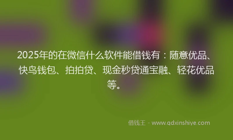 2025年的在微信什么软件能借钱有：随意优品、快鸟钱包、拍拍贷、现金秒贷通宝融、轻花优品等。