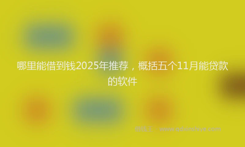哪里能借到钱2025年推荐，概括五个11月能贷款的软件