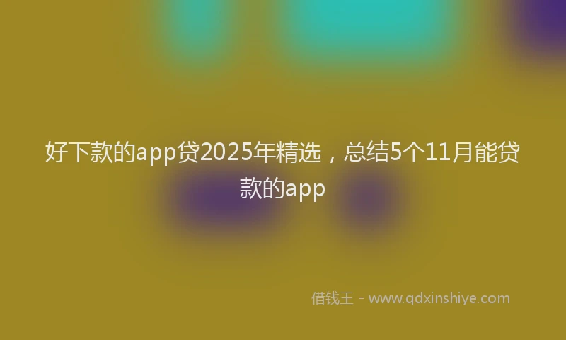 好下款的app贷2025年精选，总结5个11月能贷款的app