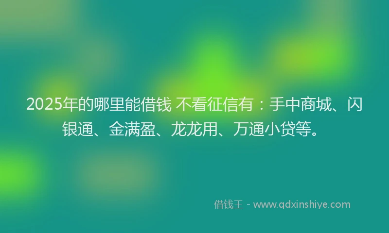 2025年的哪里能借钱 不看征信有：手中商城、闪银通、金满盈、龙龙用、万通小贷等。