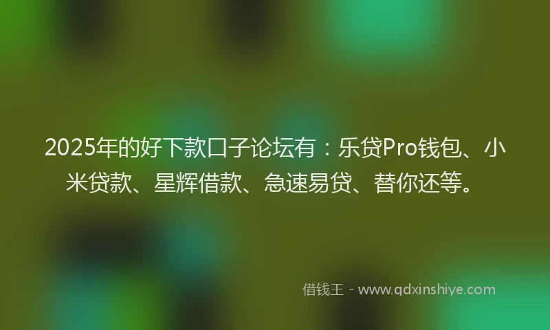 2025年的好下款口子论坛有：乐贷Pro钱包、小米贷款、星辉借款、急速易贷、替你还等。