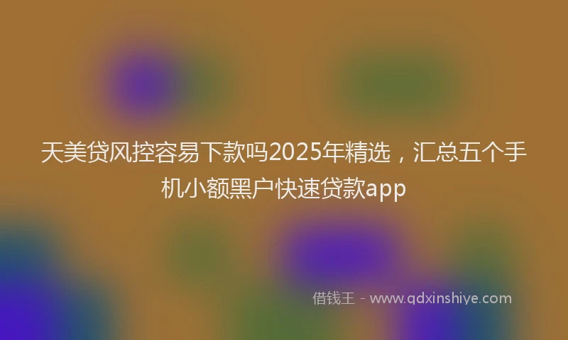 天美贷风控容易下款吗2025年精选，汇总五个手机小额黑户快速贷款app