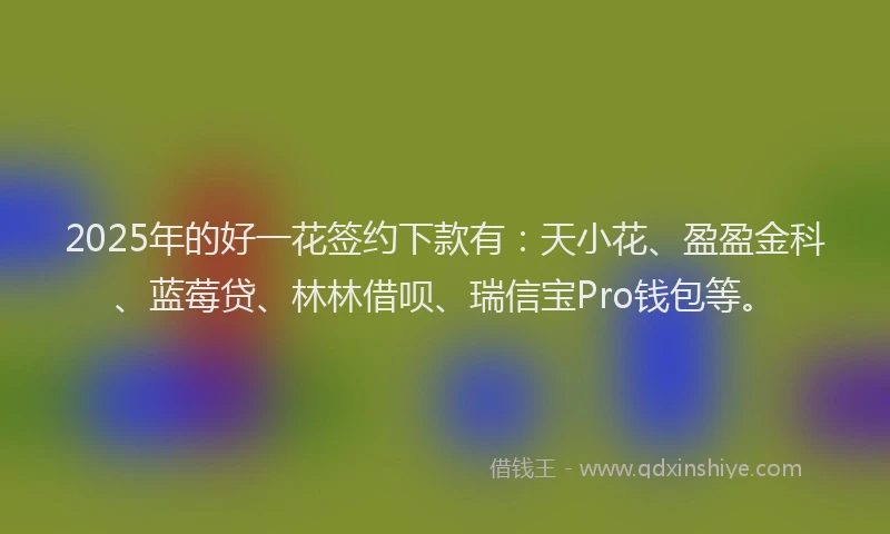 2025年的好一花签约下款有：天小花、盈盈金科、蓝莓贷、林林借呗、瑞信宝Pro钱包等。