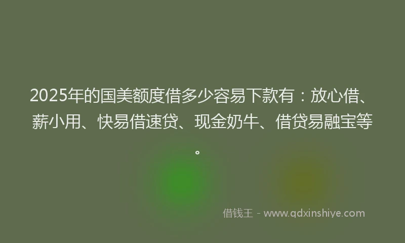 2025年的国美额度借多少容易下款有：放心借、薪小用、快易借速贷、现金奶牛、借贷易融宝等。