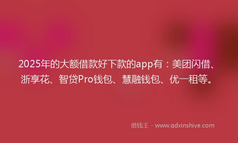 2025年的大额借款好下款的app有：美团闪借、浙享花、智贷Pro钱包、慧融钱包、优一租等。