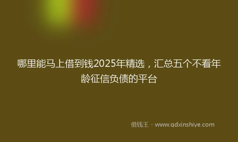 哪里能马上借到钱2025年精选，汇总五个不看年龄征信负债的平台
