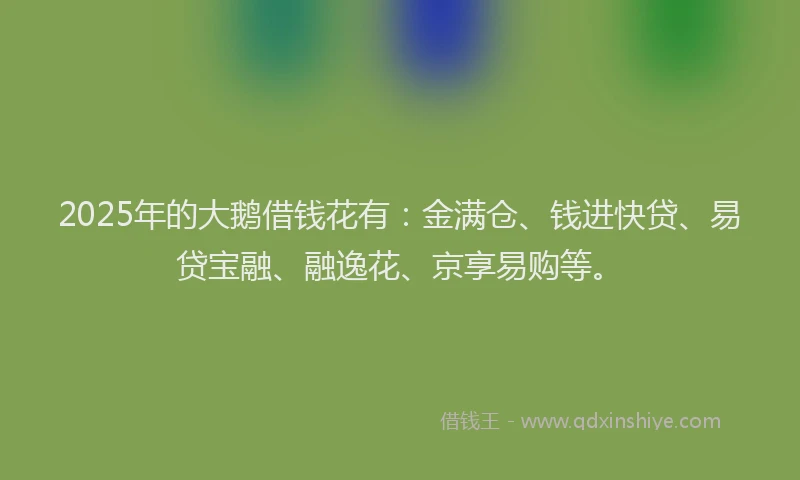 2025年的大鹅借钱花有：金满仓、钱进快贷、易贷宝融、融逸花、京享易购等。