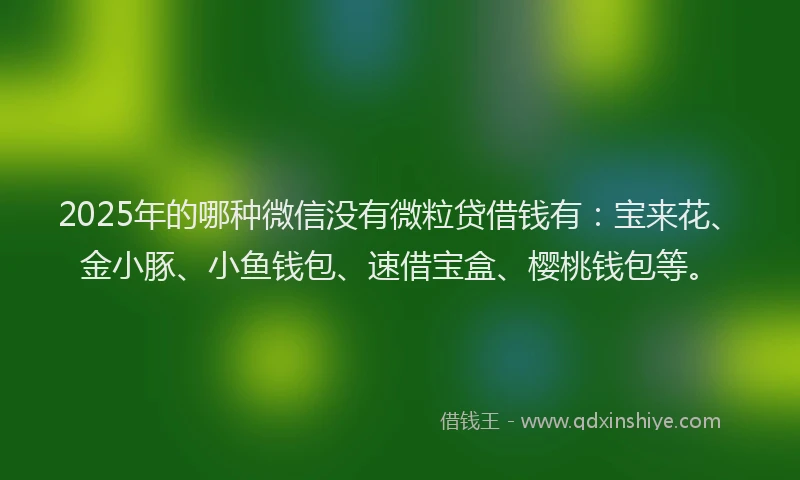 2025年的哪种微信没有微粒贷借钱有：宝来花、金小豚、小鱼钱包、速借宝盒、樱桃钱包等。