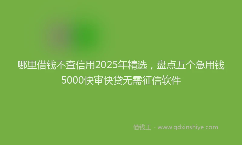 哪里借钱不查信用2025年精选，盘点五个急用钱5000快审快贷无需征信软件